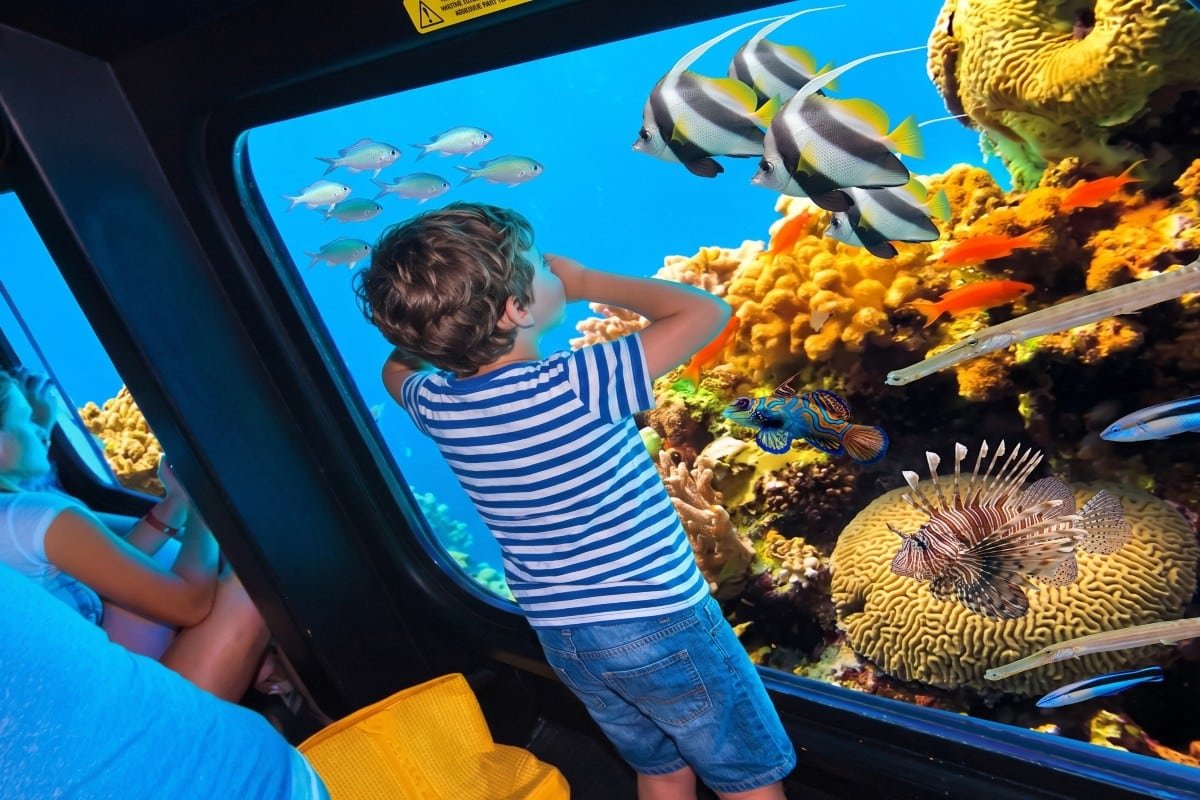 Royal Sea Scope Üvegfenekű Hajókirándulás Hurghadában